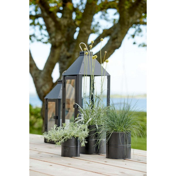 Sort Urtepotte (sæt m/6 stk/5 str) Ø8-16xH6-16 cm