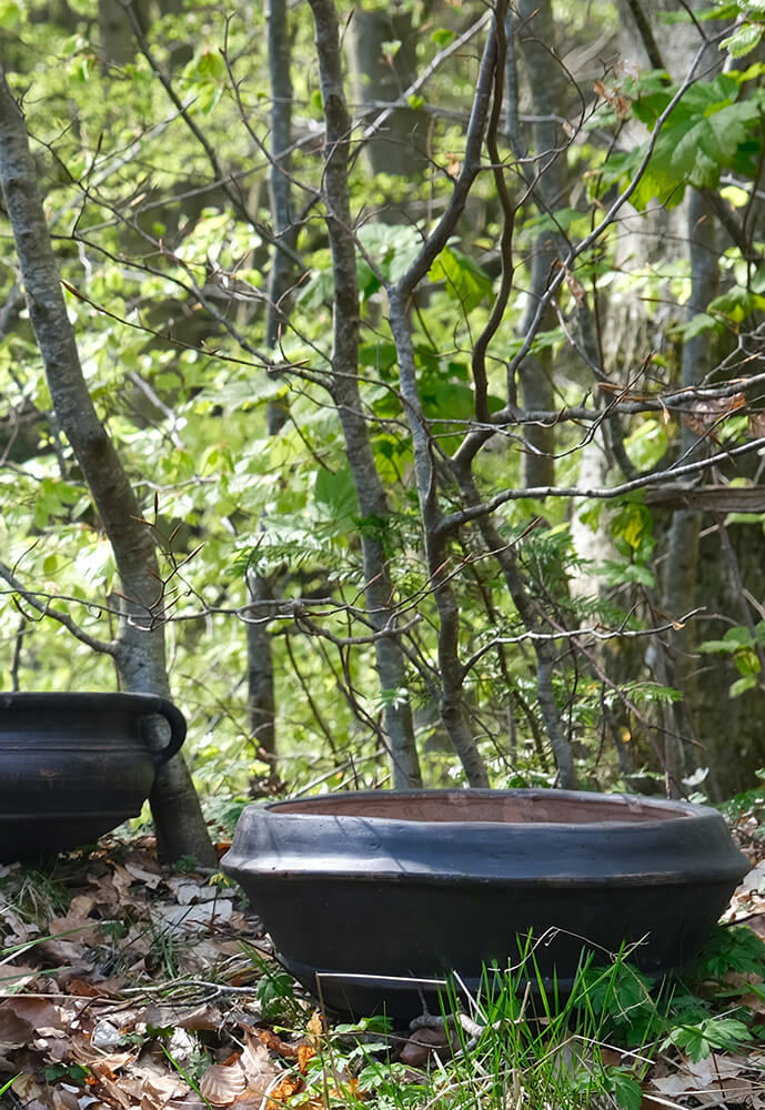 Trademark Living Benedict lerkrukke - S