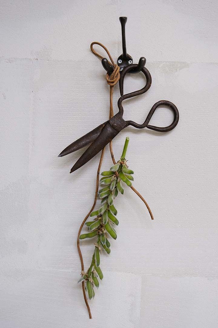 Trademark Living Umut jernknage med 3 knager