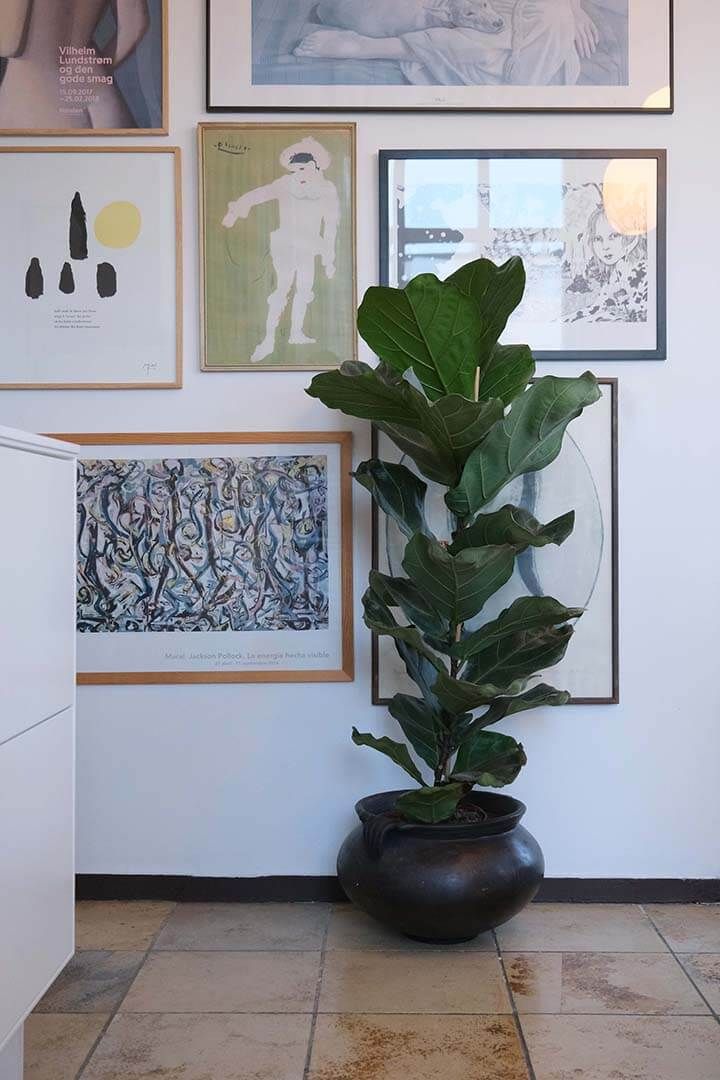 Trademark Living Botanic lerkrukke med håndtag - L