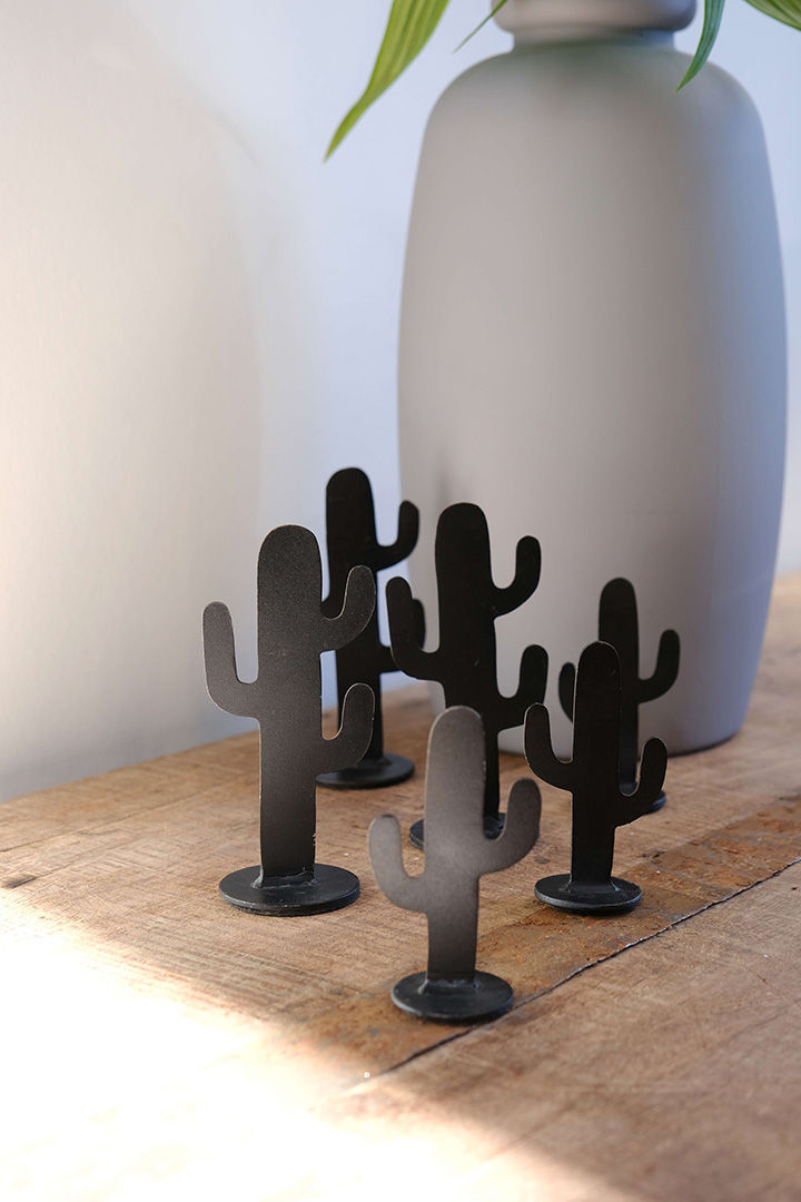 Trademark Living Mini kaktus - small