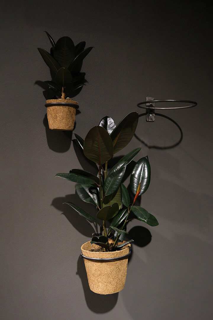 Trademark Living Minko vægbeslag med jernring - S