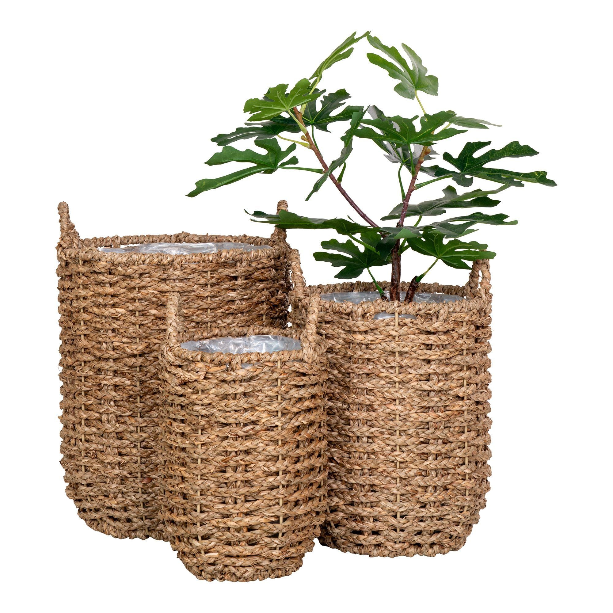 House Nordic Hue Planteskjuler