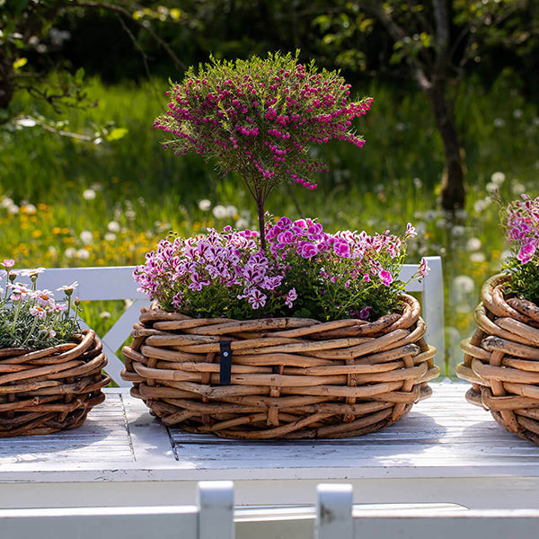 Rund Rattanbowle sæt m 3 stk - inkl poser