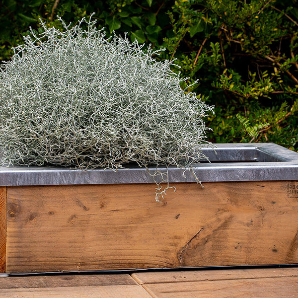 Aflang Plantekasse m/galv ramme 67x34,5x20,5 cm