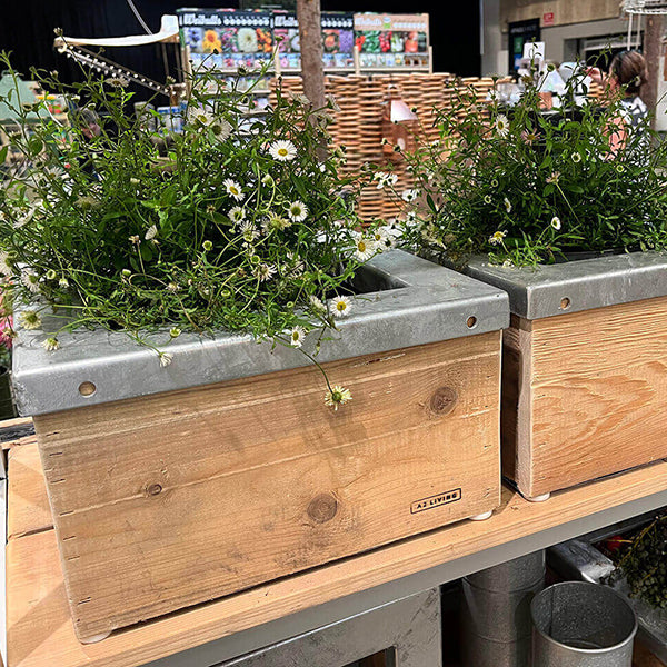 Quadro Plantekasse m/galv ramme 34,5x34,5x20,5 cm