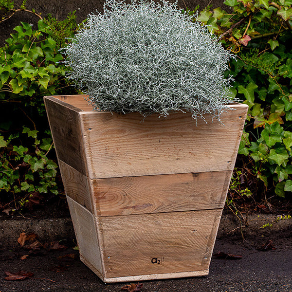 Plante Trug Quadro 50 cm