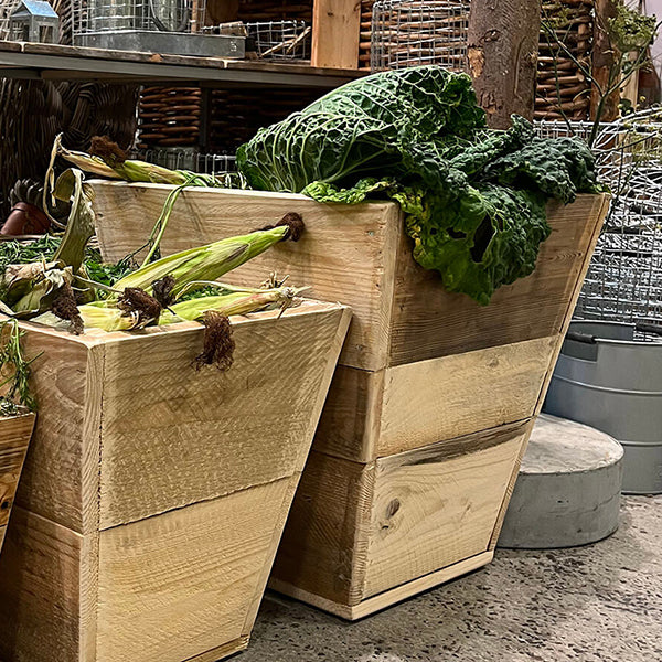 Plante Trug Quadro 50 cm