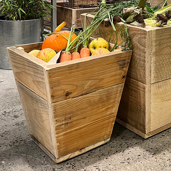 Plante Trug Quadro 30 cm