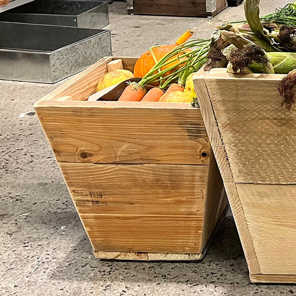 Plante Trug Quadro 30 cm
