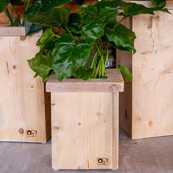 Plantesøjle i træ 25 cm