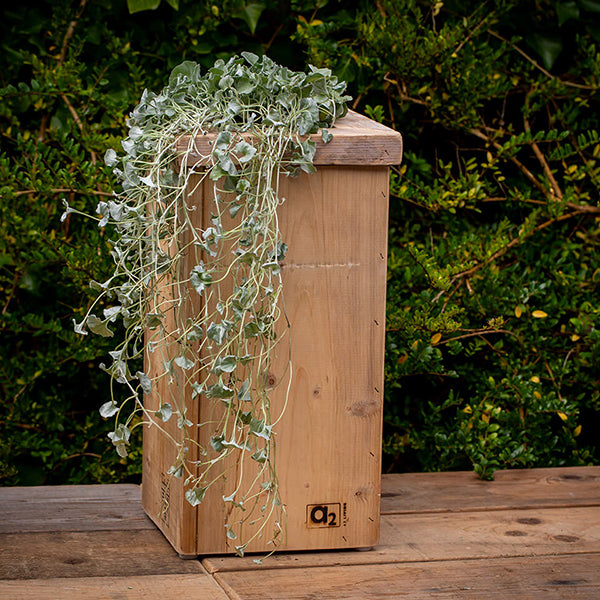 Plantesøjle i træ 40 cm