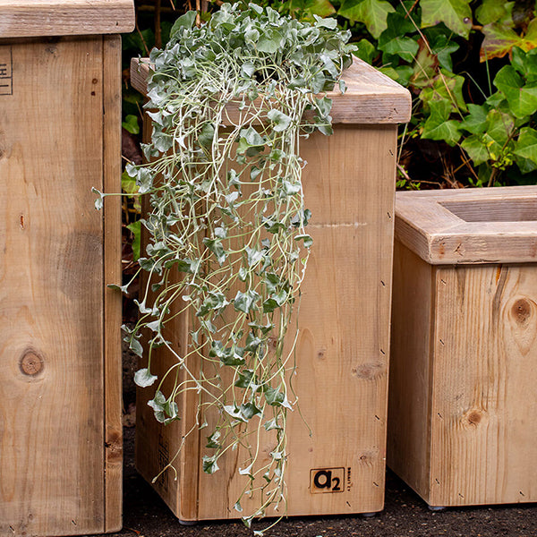 Plantesøjle i træ 40 cm