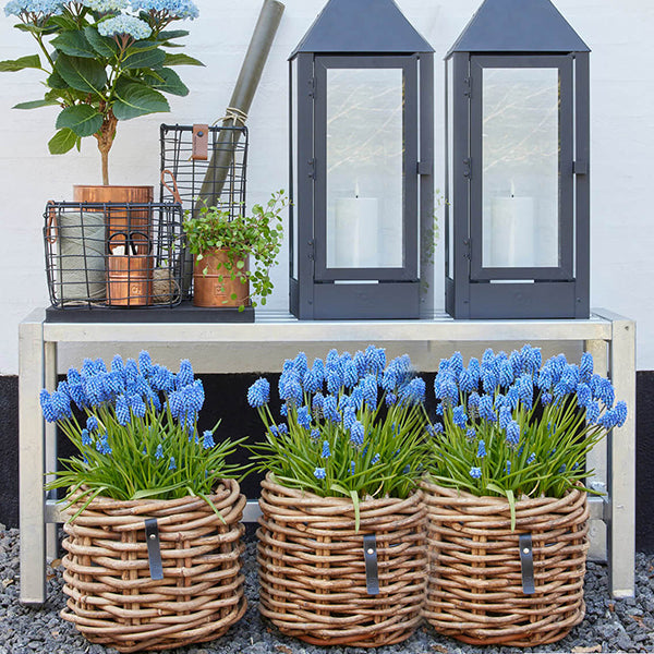 Galvaniseret Havebænk 115 - 1 Sektion (Ben: 6x6 cm)