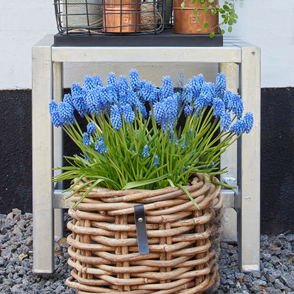 Galvaniseret Havebænk 35 - 1 Sektion (Ben: 4x4 cm)