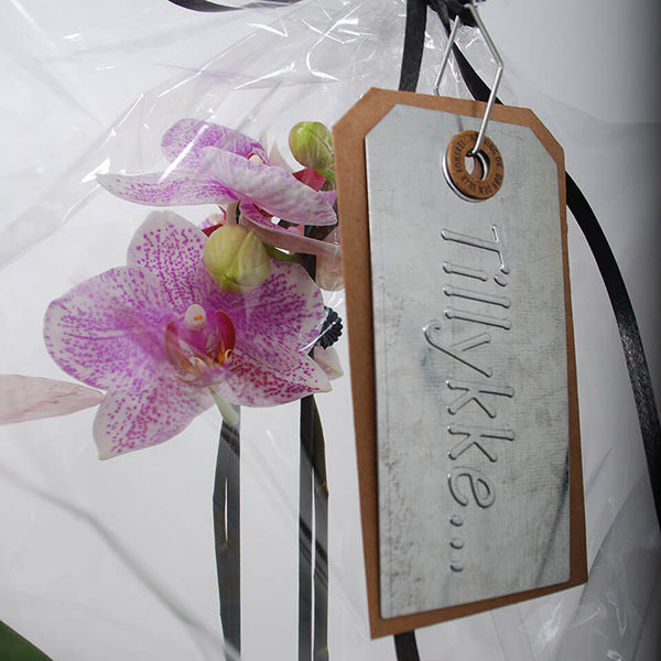 Manillakort Tillykke 25 stk