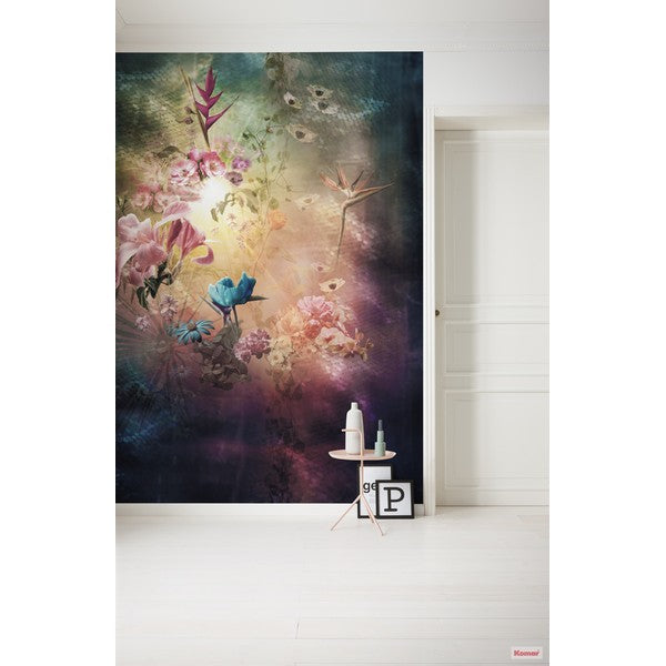 Fototapet Enlightenment 2,50x2 meter