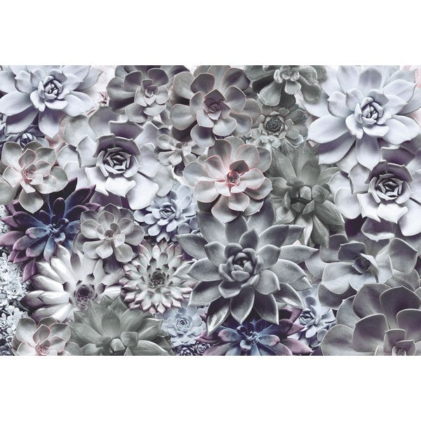 Fototapet Shades 2,54x3,68 meter