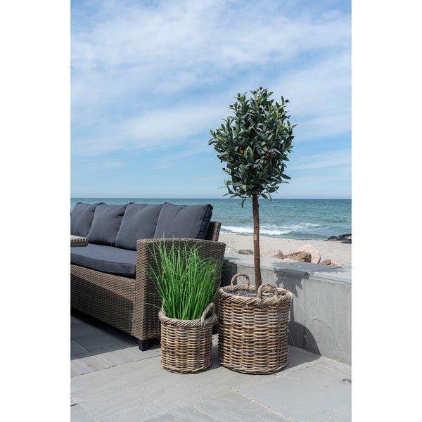 Oliventræ - Kunstig plante, grøn, 150 cm