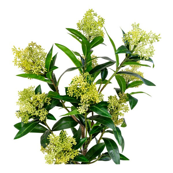 Skimmia Træ - Kunstig plante, grøn, 75 cm