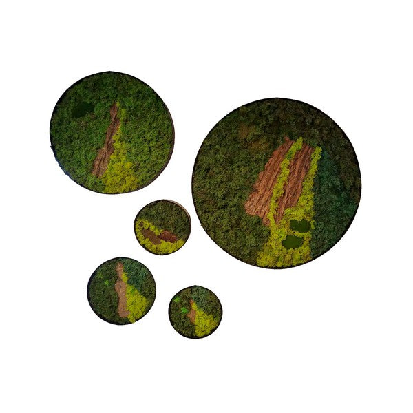 Mosbillede med bark rund 65 cm