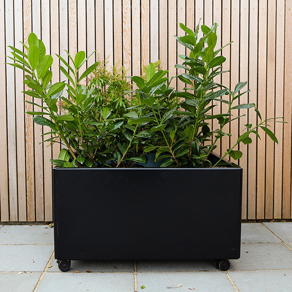 Plantekasse sortlakeret alu 40x40x40 cm m/grå hjul