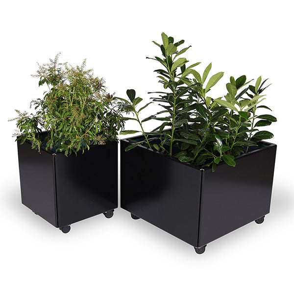 Plantekasse sortlakeret alu 60x60x40 cm m/sorte hjul