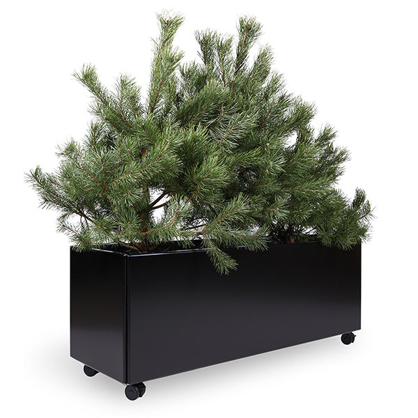 Plantekasse sortlakeret alu 40x120x40 cm m/sorte hjul