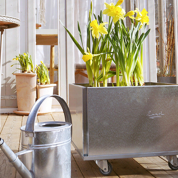 Højbed galvaniseret stål classic på hjul 25x60x60 cm