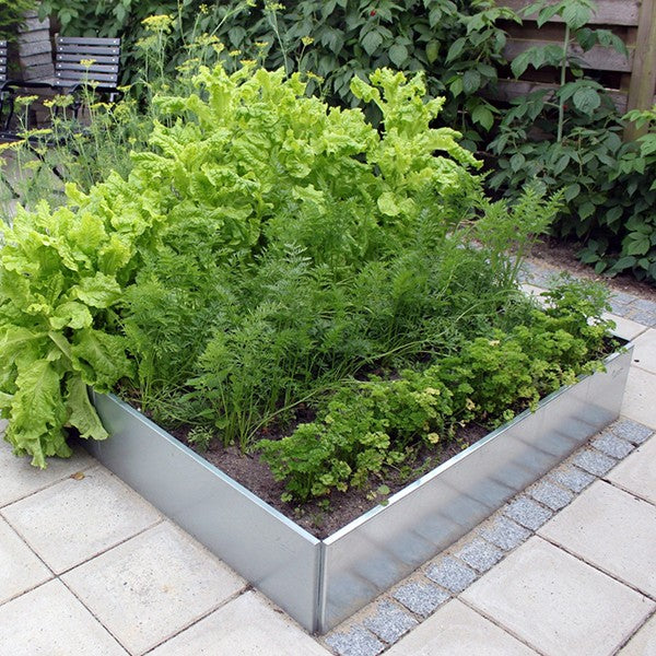 Bedkant galvaniseret stål 40x25 cm