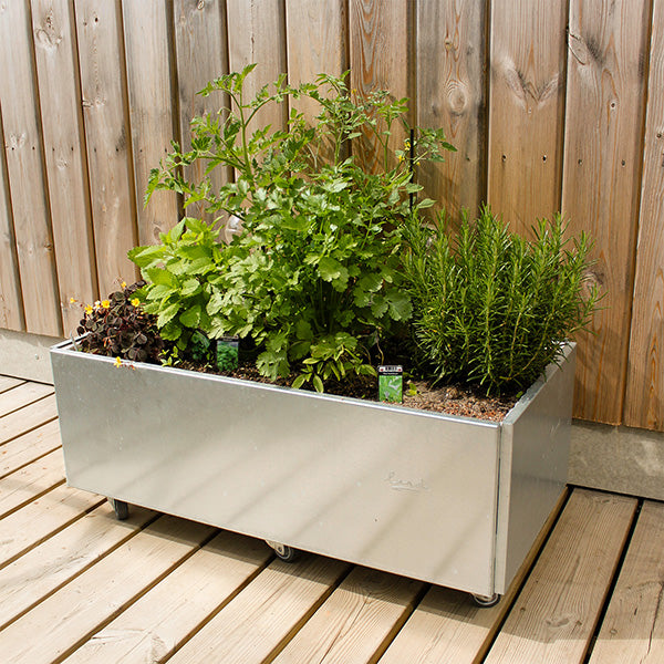 Højbed galvaniseret stål classic på hjul 25x40x120 cm