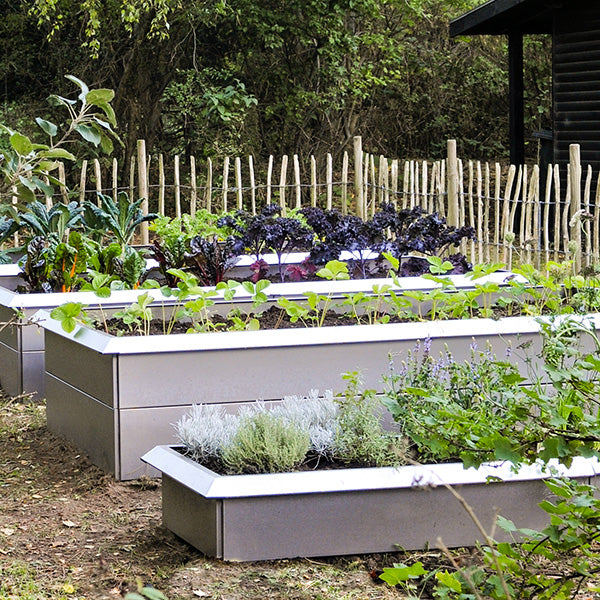 Højbed galvaniseret stål classic m/sneglehegn 25x80x240 cm