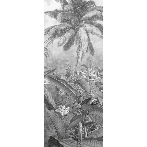 Fototapet Amazonia Black & White 2,50x1 meter