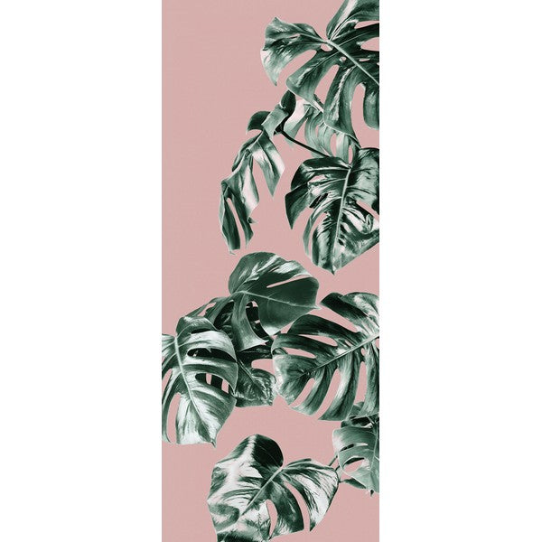 Fototapet Monstera Rosé 2,50x1 meter