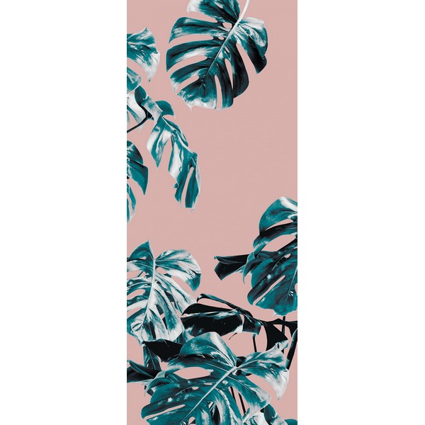Fototapet Monstera Rosé 2,50x1 meter