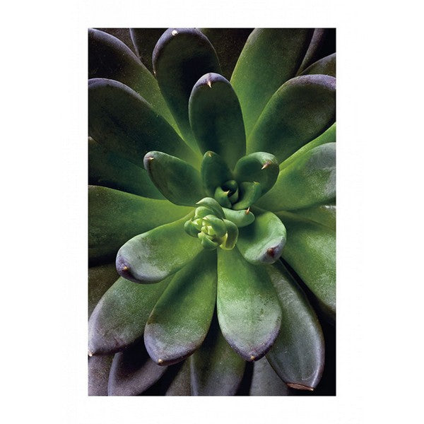 Plakat Saftig single - 40x50 cm