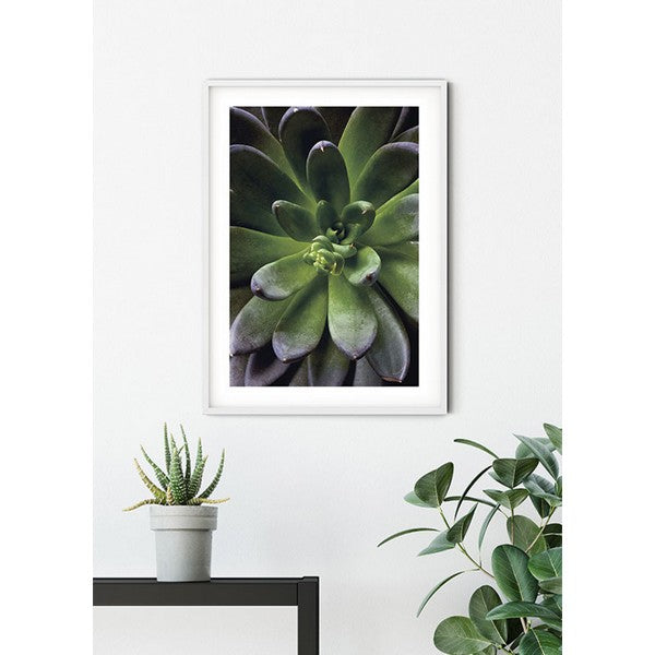 Plakat Saftig single - 50x70 cm
