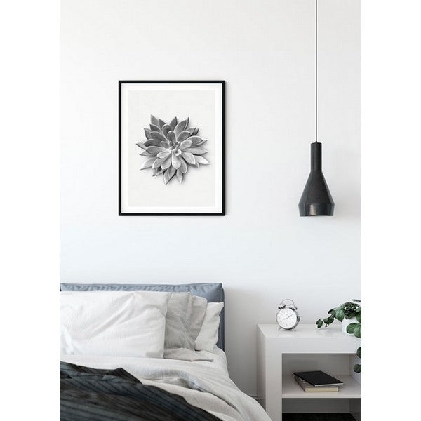 Plakat Saftig agave - 50x70 cm