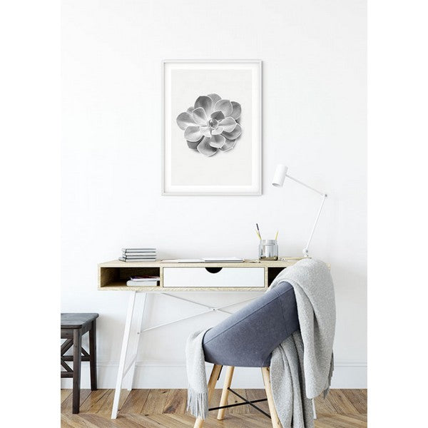 Plakat Saftigt Aeonium - 30x40 cm