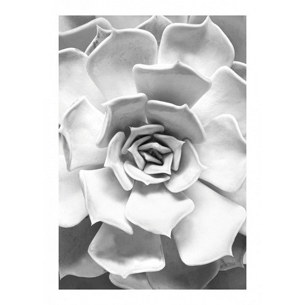 Plakat Saftigt nærbillede - 30x40 cm