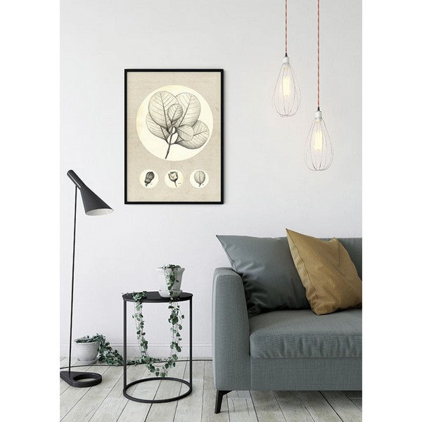 Plakat Transparent Leaf - 50x70 cm