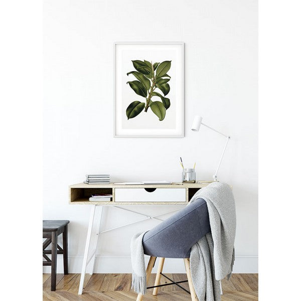 Plakat Gummitræ - 40x50 cm