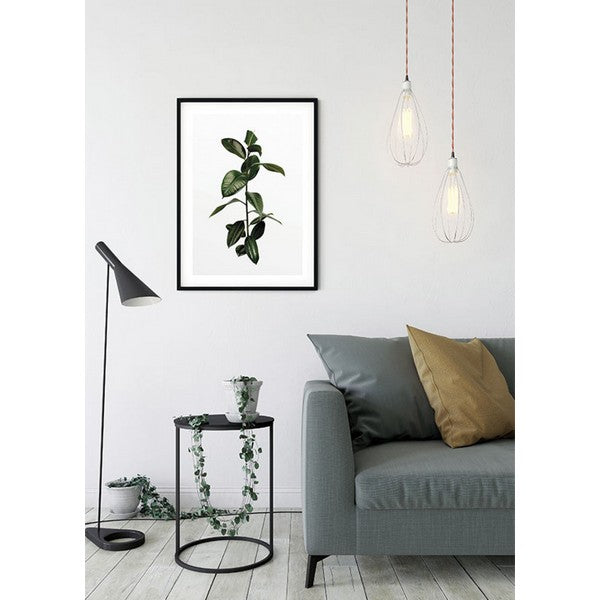 Plakat Ficusbladene - 40x50 cm