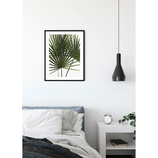 Plakat Palmetræ Blade - 40x50 cm