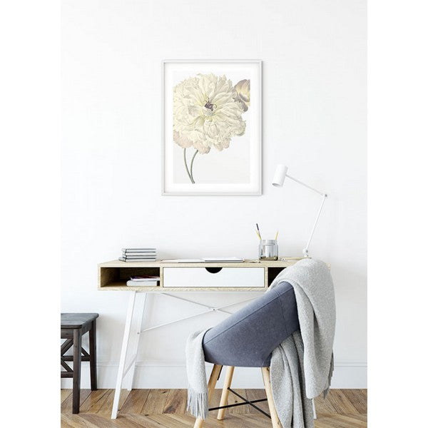 Plakat Illustration Dahlia - 40x50 cm