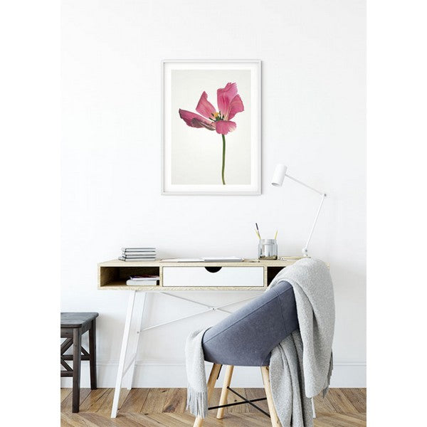 Plakat Tulipan - 40x50 cm