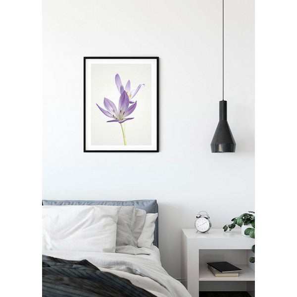 Plakat Efterårskrokus - 30x40 cm