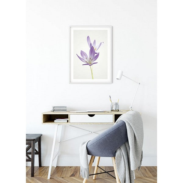 Plakat Efterårskrokus - 30x40 cm