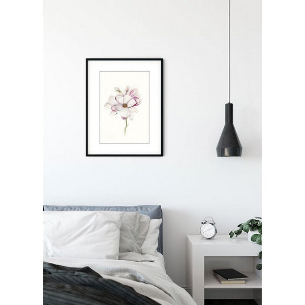 Plakat Magnolia blomst - 50x70 cm