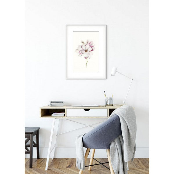 Plakat Magnolia blomst - 50x70 cm